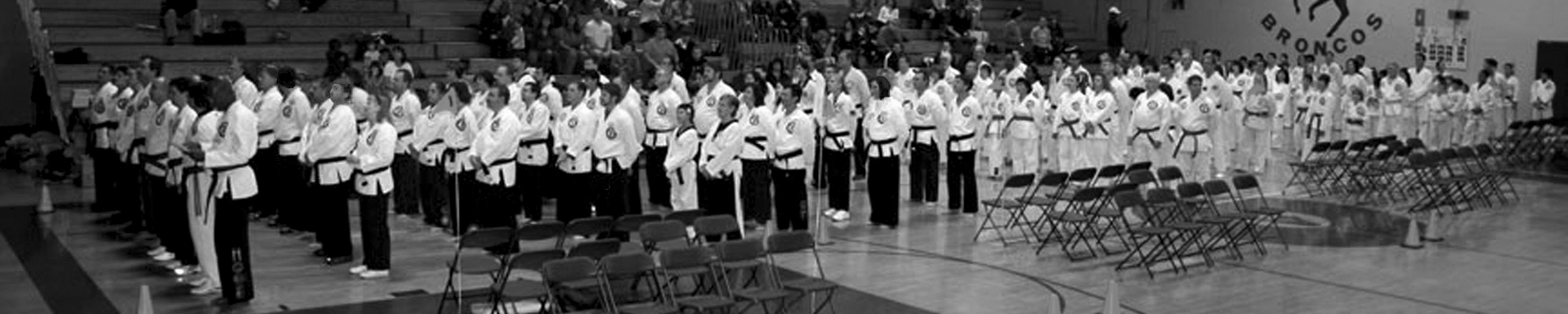 Tae Kwon Do Karate Club