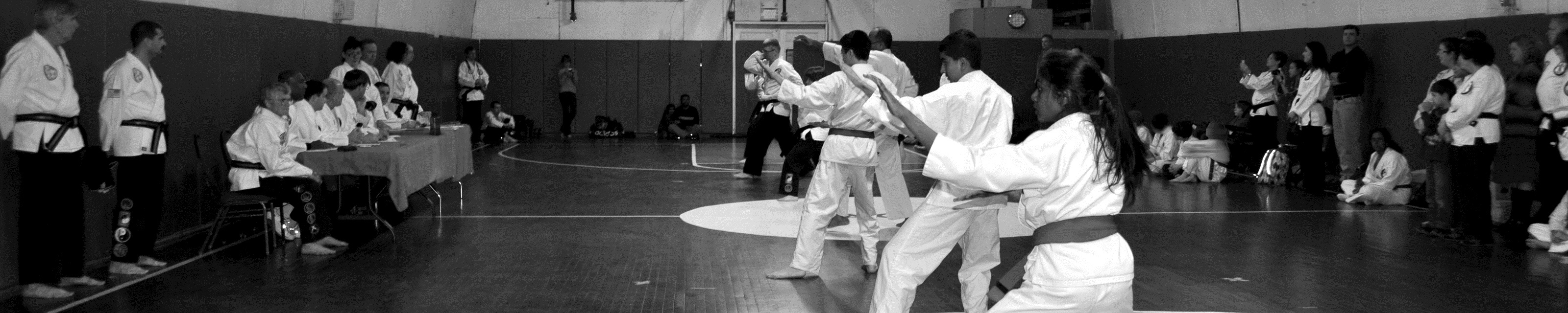 Tae Kwon Do Karate Club